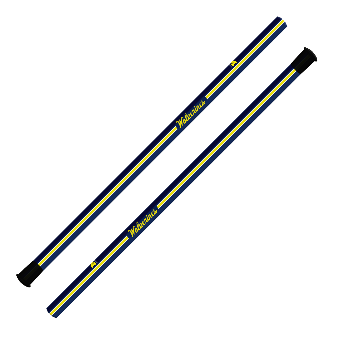 Custom U-M Dearborn Goalie Shaft - Design 4